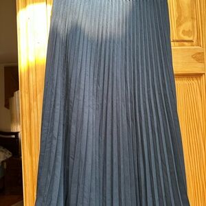 H&M Deep Blue A-Line Pleated Skirt